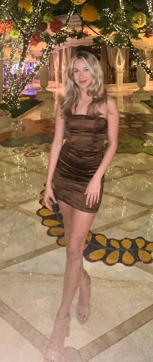Peppermayo brown corset dress thumbnail 4