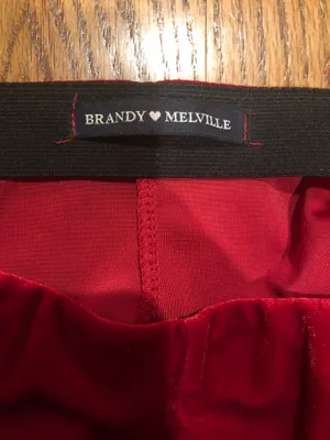 Brandy Melville Velvet Skirt  thumbnail 3