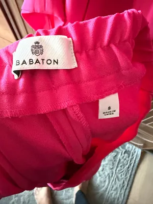 Babaton Aritzia Blazer and Pants thumbnail 6