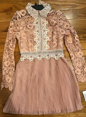 ASOS DESIGN rose Victorian-inspired Pleated Lace Dream Mini Dress 6 thumbnail 13