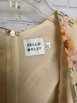 Hello Molly flowery dress lined v neck cottagecore artsy size small romantic thumbnail 4