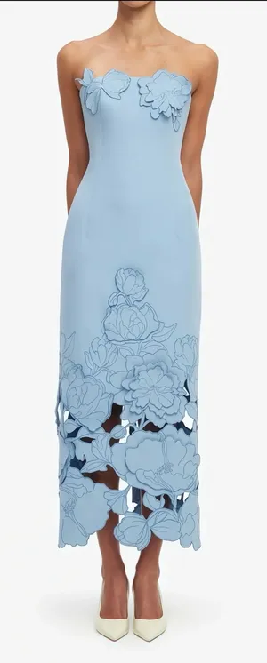Miss Rosier Blue Midi/Maxi Dress thumbnail 1
