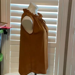 Elegant Ruffled Sleeveless Blouse thumbnail 3