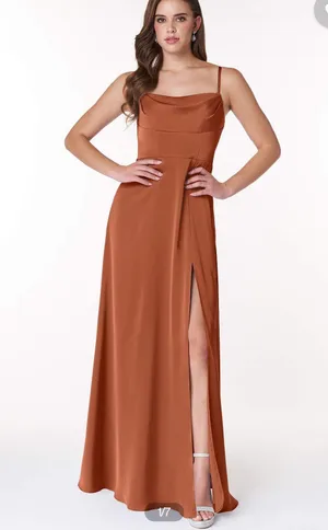 Azazie Clove Formal Gown/dress thumbnail 1