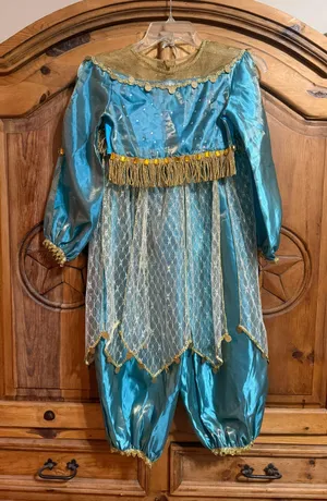 Disney Aladdin 2019 Jasmine Kimono thumbnail 1