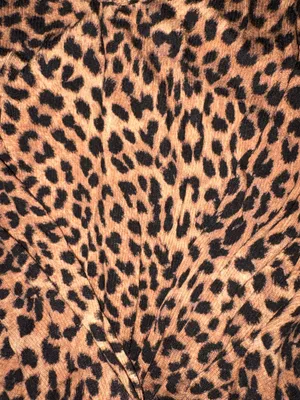 Olivaceous Leopard Print Maxi Dress Large thumbnail 4