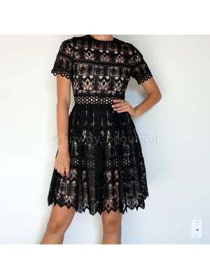 Alexis Black Crochet Guipure Lula Dress Size XS thumbnail 8