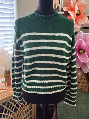 J. Crew Green & White Striped Cotton Roll Neck Sweater thumbnail 1
