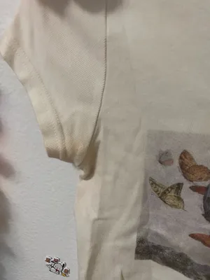 Brandy Melville crop top  thumbnail 4
