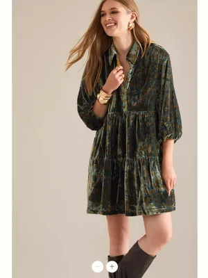 Anthropologie The Bettina Tiered Shirt Dress by Maeve: Mini Velvet Edition thumbnail 4