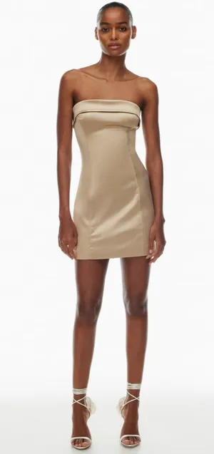 Aritzia Shimmer Satin Tube Dress thumbnail 1