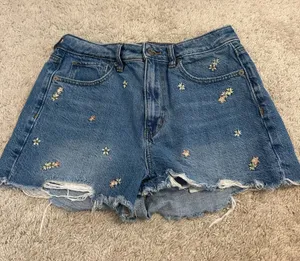 American Eagle Denim Shorts thumbnail 1