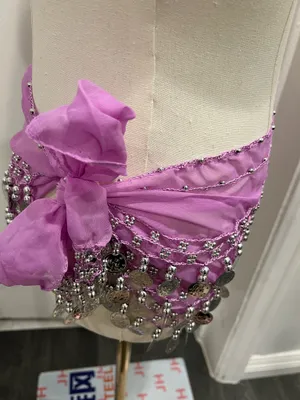 Purple Solid Chiffon Belly Dance Hip Scarf Wrap w/ Silver Coins Tie Size one size thumbnail 3