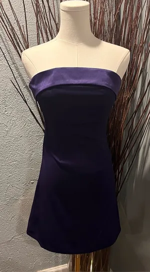 🌺Nwt Sky To Moon Purple Strapless Mini Dress Size Small🌺 thumbnail 1