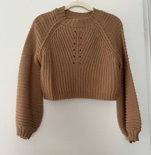 Debut Brown Cropped Sweater thumbnail 1