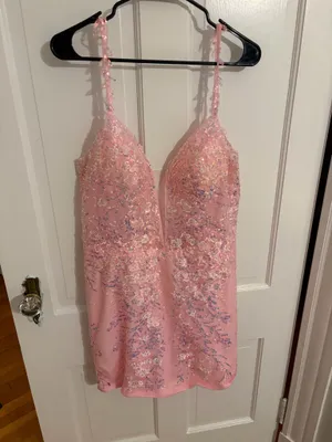 Pink Lace dress Size 16 thumbnail 3