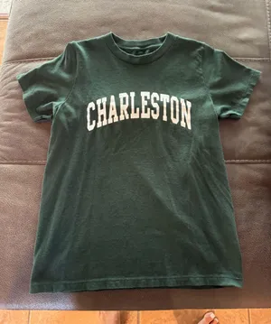 Brandy Melville Charleston t shirt thumbnail 1