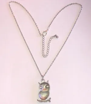Silver Tone CZ Rhinestone Owl Pendant Dainty Boho Necklace thumbnail 6
