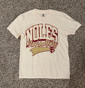 Comfort Colors Florida State T-Shirt thumbnail 1