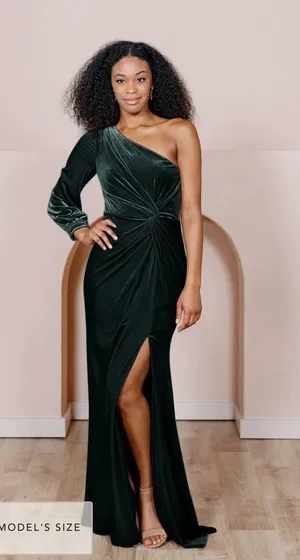 Revelry Aurora Velvet Dress thumbnail 1
