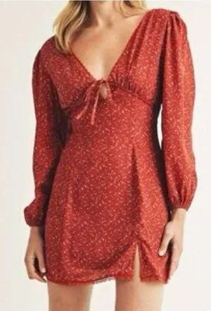 Storia Long Sleeve Mini Dress NWT Small thumbnail 1