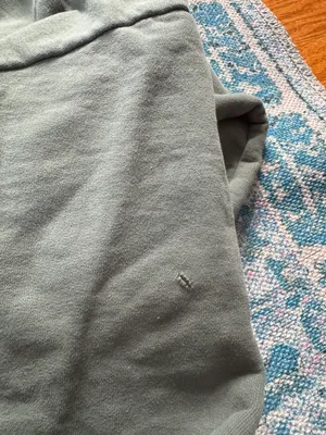 Aerie Sage, green, oversized, heavy duty crewneck thumbnail 4