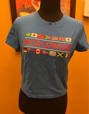 Forever 21 Worldwide Flag Sporty Preppy Crop Tee Size L thumbnail 1