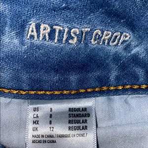 American Eagle Outfitters Artist Crop Super Stretch Jeans Size 8 thumbnail 11