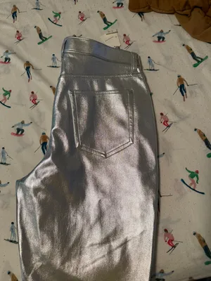 Silver Leather Pants thumbnail 7