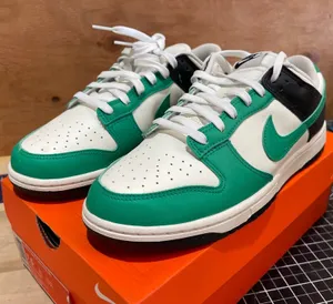 Nike Dunk Low IB4363-113 Women size 11 thumbnail 1