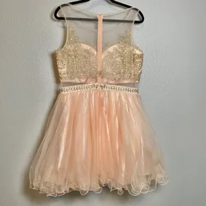 Dancing Queen Pink Rhinestone Embroidered Fairy Balletcore Formal Prom Tule‎ Dress XXL Prom thumbnail 3