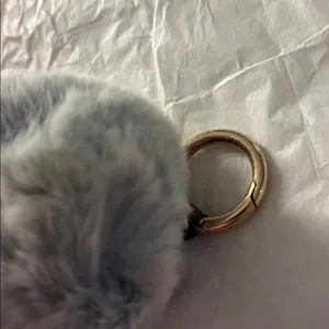 Fluffy Gray Fur animal thumbnail 6