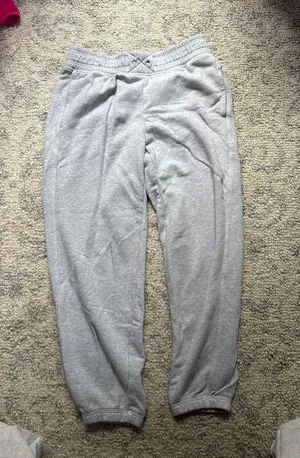 Grey Aerie Sweatpants thumbnail 1