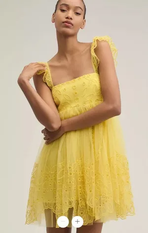 Anthropologie Let Me Be Eyelet Tulle Mini Dress thumbnail 1