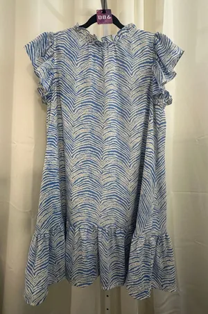 X20. Pinch zebra print dress size large thumbnail 1