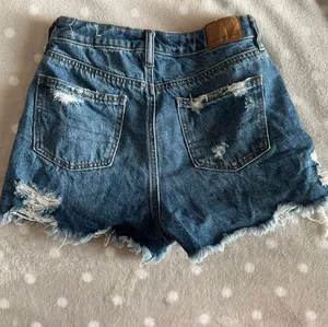American Eagle Outfitters Shorts thumbnail 2