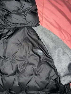 The North Face Jackets thumbnail 2