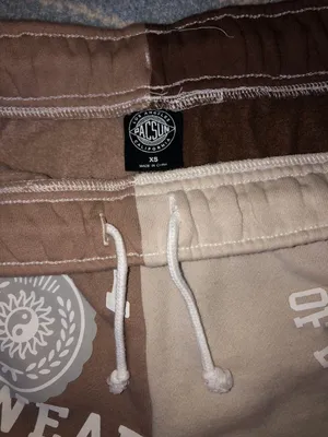 PacSun Shorts thumbnail 3