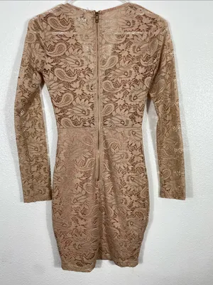 Windsor Long Sleeve Lace Bodycon Dress in Blush Size XS 90% Nylon thumbnail 6