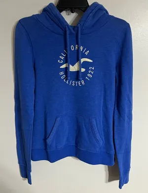 Hollister‎ Pullover Sweatshirt Bird Graphic Print Women’s Size Medium Blue thumbnail 1