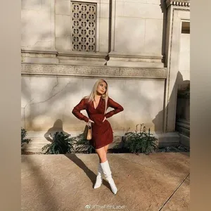 Dark Merlot Zebra Mini Dress Region | The Fifth Label thumbnail 5