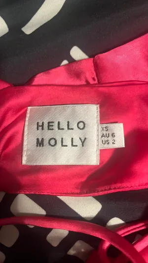 Hello Molly Hot Pink Satin Midi Dress thumbnail 4