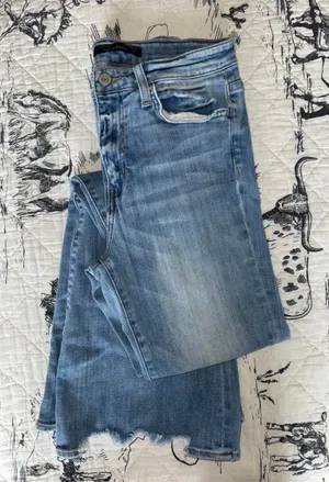 Vervet Flying Monkey Flare Jeans thumbnail 1