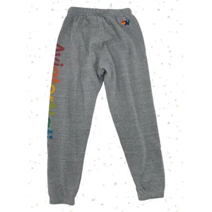 Aviator Nation Gray Rainbow Spellout Logo Sweatpants Casual Lounge Sweat Size XS thumbnail 2