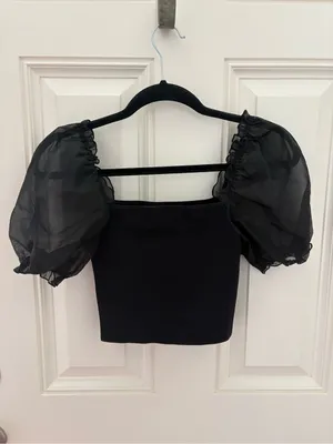 Aritzia | Wilfred Sheer Puff Sleeve Top Size Small thumbnail 2