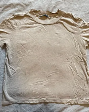 Zara Short Sleeve Crewneck Tee in Beige thumbnail 1