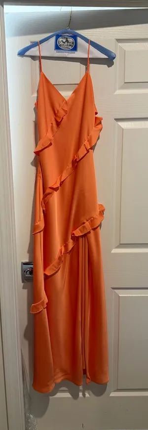 Birdy Grey Apricot Dress thumbnail 1