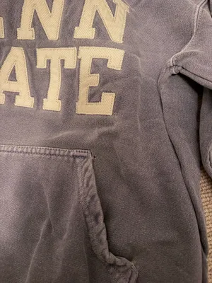 Champion Vintage Penn State Hoodie thumbnail 5