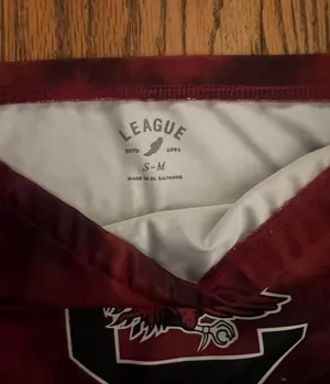 South Carolina Gamecocks Bandeau thumbnail 3