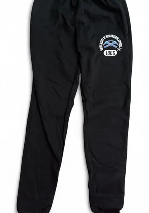 Champion University of Wisconsin plateville sweatpants thumbnail 1